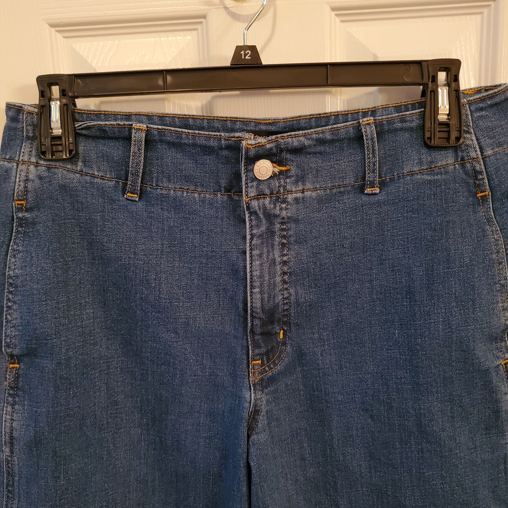 Banana Republic High Rise straight fit jeans 31 12